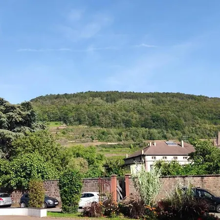 Avec Patio, Barbecue & Wifi Lejlighed