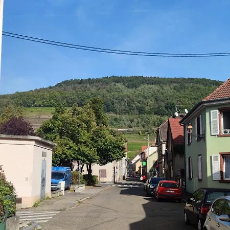 Avec Patio, Barbecue & Wifi *